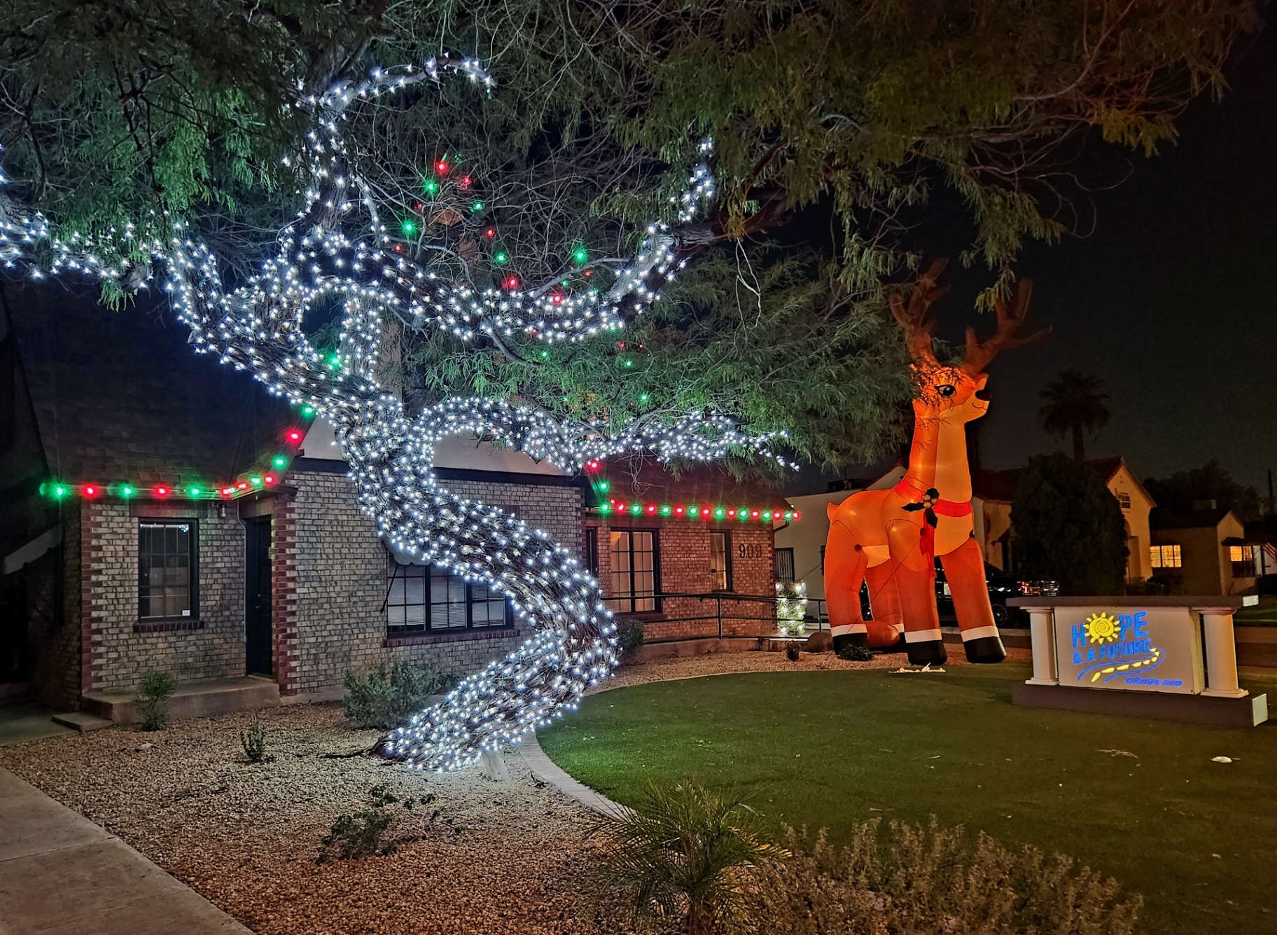 Wrapped tree & business display — Phoenix